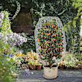 Miniatyrbild 5 av 5: Insektnät för fåglar - Nät för trädgårdsväxter för att skydda växter, frukter och blommor från insekter och fåglar