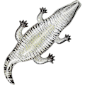 Miniatyrbilde 4 av 5: Kjøre Alligator bøye