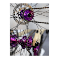 Miniatyrbillede 5 af 5: Single Speed Svinghjul Konverteringssæt 18T Lilla