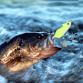 Miniatyrbilde 6 av 8: 6 stk 5,5 cm/10,5 g paljett kunstig frosk fiske lokker hardt agn med kroker fiskeutstyr tilbehør