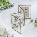 Miniatyrbilde 7 av 8: Dobbeltsidig glassplanteprøveholder Tørket blomst klips Hjemmedekorasjon Ornament 14x16x1.5cm