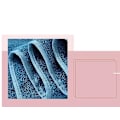 Miniatyrbild 3 av 4: Absorberande Bomullsbadhandduksset