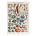 Miniatyrbilde 1 av 5: Plakat i retrostil på 30 x 40 cm med diverse grønnsaker og planter