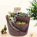 Miniatyrbillede 4 af 4: Kreativ sukkulent plantepotte, fe-have harpiks blomsterpotter sødt hus DIY have dekoration (brun, 13*10*10cm)