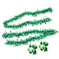 Pikkukuva 8 / 8: Shamrock Confetti Clover Tinsel Garland Lucky Irish Themed Craft Party Decorations