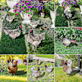 Miniatyrbilde 2 av 5: Farfi Hane Dekor Realistisk Livaktig Ornamental Dobbeltsidig Trykk Akryl Hage Statue Kylling For Hage K