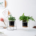 Miniatyrbillede 8 af 8: Sukkulente potter med stativholder Hvid moderne keramisk blomsterkrukkepotte Sort jernstativ Bambusbakke Hjemmekontor Indendørs dekoration