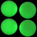 Miniatyrbillede 1 af 8: 4 stk. Fluorescerende bolde til natsportsgrene, der lyser i mørket, lyse bolde uden LED-lys indeni