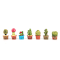 Miniatyrbilde 1 av 8: Tiny Cactus Miniatyr Sukkulent Planter Pot Dukkehus dekorasjon Mini Plant (7 stk)