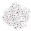 Miniatyrbillede 3 af 8: 100 stk. broderiklæbestof mønster blomme strygemærker DIY rygsæk tøj tilbehør