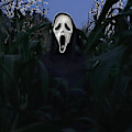 Pikkukuva 2 / 4: Realistinen Halloween Ghostface Scream -naamio aikuisille ja lapsille