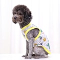Miniatyrbillede 5 af 5: Søde T-shirts med Dyreprint til Små Hunde - Sæt af 6