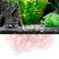 Miniatyrbilde 5 av 8: Tumlede steinbiter knuste naturlige krystallkvartsstykker (rosa)