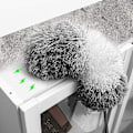 Miniatyrbilde 4 av 5: Utvidbar Mikrofiber Fjærstøvbørste - 100\" Teleskopstang, Bøybar Hode, Rippebestandig Deksel, Vaskbar