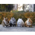 Miniatyrbild 3 av 8: Bunny Ornament Dekorativ Mjuk Delikat Look Påsk Faux Dekoration för hemmet