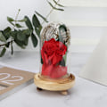 Miniatyrbillede 4 af 8: Glaskuppel Kunstig Rose Blomster Dekoration Ornament til Valentinsdag Gave Hjem Indretning