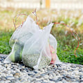Miniatyrbillede 3 af 5: Nylon Snørelukning Netpose til Beskyttelse af Haveplanter mod Insekter og Fugle Hvid20STK 25*35CM