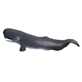 Miniatyrbillede 2 af 8: Hval Figur Model Høj Simulation Læringsmæssig Desktop Dekoration Legetøj