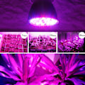 Miniatyrbilde 5 av 6: LED-vekstlys med full spektrum for vannplanteblomstring - E27-lampe