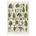 Pikkukuva 4 / 5: Vintage Trees print - 4 set 30 x 40 cm Vintage Tree -kuvia