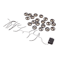 Miniatyrbillede 3 af 8: Halloween String Lights IP65 Vandtæt 3D træ Halloween Dekoration LED String Lights med 20 Bat Lights til fest