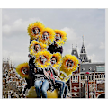 Miniatyrbillede 4 af 4: Sjov Solsikke Partyhat til Festivalspil - 58cm