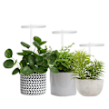 Miniatyrbillede 6 af 8: LED plantevækstlys 5 dæmpbare tilstande 3 hoved timing USB plantelampe til potteplanter drivhusgrøntsager