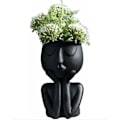 Miniatyrbild 1 av 4: Nordic Style Black Face Blomkruka Succulent Planter
