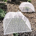 Miniatyrbild 5 av 5: Lämpligt 8-pack Vikbart Mattskydd Nät Skärm Paraply för att Hålla Insekter och Flugor Borta, 43 x 43 cm, Vit