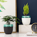 Miniatyrbillede 4 af 8: Automatisk selvvandende blomsterpotte dobbeltlagsdesign Planter til kontorhjemmehavearbejde