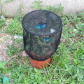 Miniatyrbilde 3 av 8: Ventilert insektbur, lysoverføring, fôringsnett, deksel, nettingbur, plante, solskjermingshus