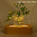 Miniatyrbillede 1 af 5: LED-lysstand i træ, 2 pakker ovale træ 9,5 cm x 0,5 cm varm hvidt lys display piedestaler til akryl natlampe krystal kunst, træfarve