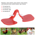 Miniatyrbillede 8 af 8: 500 stk Anti Pecking Kylling Eye Briller Briller Fjerkræ Skynder Kylling Farm Udstyr