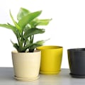 Miniatyrbillede 3 af 5: Nordisk stil blomsterpotte til hjem og have dekoration 22.5*20.5cm sort