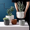 Miniatyrbild 3 av 5: Praktisk Keramisk Blomkruka - För Inomhusbruk - Matt Textur - För Suckulenter - Liten Blomkruka