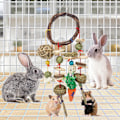 Pikkukuva 2 / 4: Lemmikit Linnut Hamsterit Kanit Purulelut & Hammashoito & Pureskelu