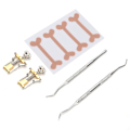 Miniatyrbild 4 av 8: 5 st Pedikyrverktygssats Set tånagel Orthotic Correction Fixer Patch Manikyrvård