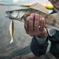 Miniatyrbillede 2 af 8: 2 stk./parti Nye levende kunstige bløde lokkemad Falsk fiskefangetilbehør (Brun)