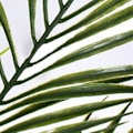Miniatyrbilde 2 av 5: 18 stk. Kunstige palmeblader, falske planter for hawaiisk fest