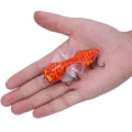 Miniatyrbild 4 av 8: Hard Fish Lure Bionic Cicada Shape fiskebete med roterande snurrar Propeller Diskantkrok 7,5 cmY238-2