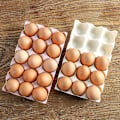 Miniatyrbilde 5 av 5: 4 Stykker Plast Eggboks, Eggbrett Oppbevaringsboks, Egg Oppbevaringsboks, for Kortdesign Sklisikker Eggdispenser, 15 Ruter, 4 Farger