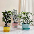 Miniatyrbilde 1 av 4: Blomsterpotte Pent Utseende Mote Lettvekt Plast Blomster Grønnsaksplanter Potte Med Brett For Hjem 2XL Gul