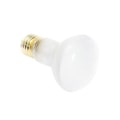 Miniatyrbild 2 av 3: 40W UVA Reptillampa Glödlampa Sköldpadda Solplats UV-ljus Glödlampor Värmelampa Reptil Sollampa