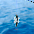 Miniatyrbilde 7 av 8: ABS 3D fiskeøye naturtro fiskesirkade kunstig hard agn roterende fiskeagn fiskeutstyr tilbehør 8# fiskeagn
