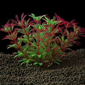 Miniatyrbilde 2 av 5: Realistiske akvarieplanter for akvariedekorasjon, fargerike kunstige akvarieplanter, 6 store stk.
