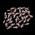 Miniatyrbild 5 av 5: Set med 200 blandade 1/87 Personfigurer Miniatyrer Tåglandskap Layout--