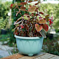 Miniatyrbilde 3 av 4: Blomsterpotte Pent Utseende Mote Lettvekt Plast Blomster Grønnsaksplanter Potte Med Brett For Hjem 2XL Gul