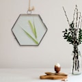 Miniatyrbilde 7 av 8: Hengende geometrisk sekskantet glassram tørket blomst planteprøve klippdisplay