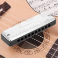 Miniatyrbilde 7 av 8: Blues Munnspill 10&#8209;hulls munnorgan En nøkkel bærbar nybegynnergave Blåseinstrument Vanntett (svart)
