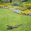 Miniatyrbilde 6 av 7: Flytende ornament Simulering Statue Vann Decoy for Pool Pond Garden